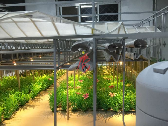 智能溫室大棚——溫室種植區